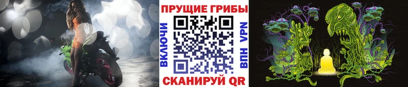 Псилоцибиновые грибы прущие грибы  Луховицы 