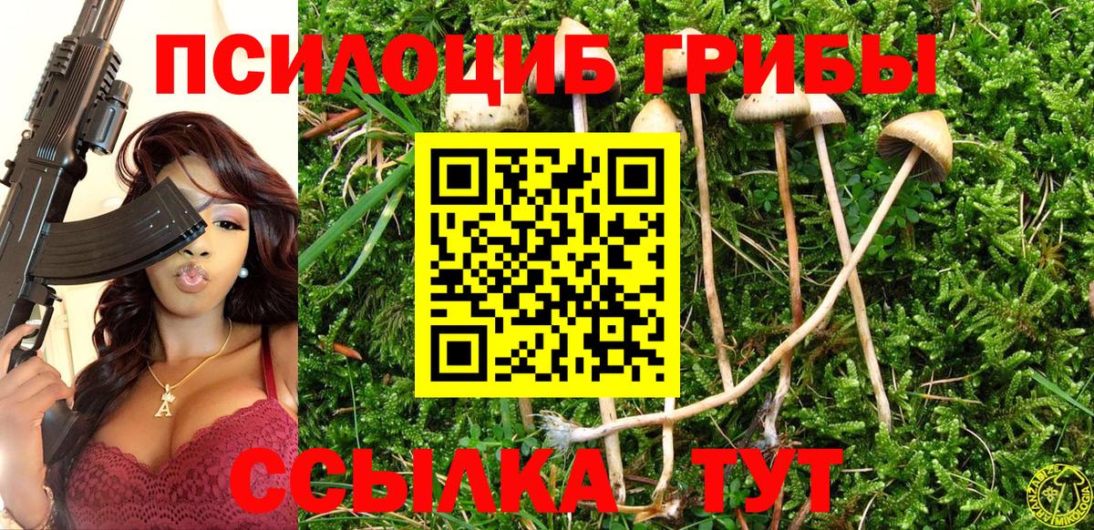 Псилоцибиновые грибы Psilocybine cubensis Луховицы