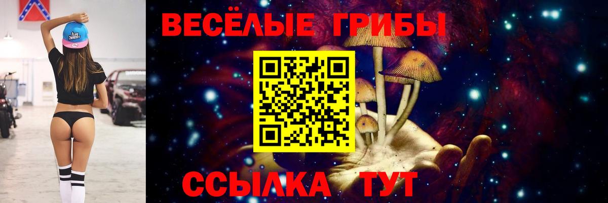 Луховицы  что такое наркотик  Вход с VPN  Галлюциногенные грибы Psilocybe 